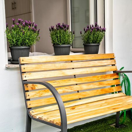Lux Garden Apartment Near Acropolis In The Heart Of 雅典 外观 照片