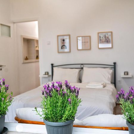 Lux Garden Apartment Near Acropolis In The Heart Of 雅典 外观 照片