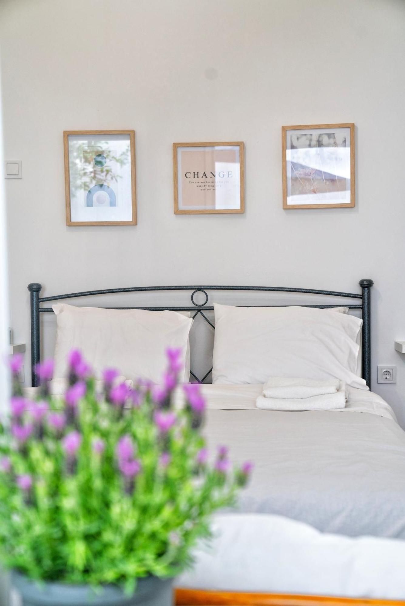 Lux Garden Apartment Near Acropolis In The Heart Of 雅典 外观 照片