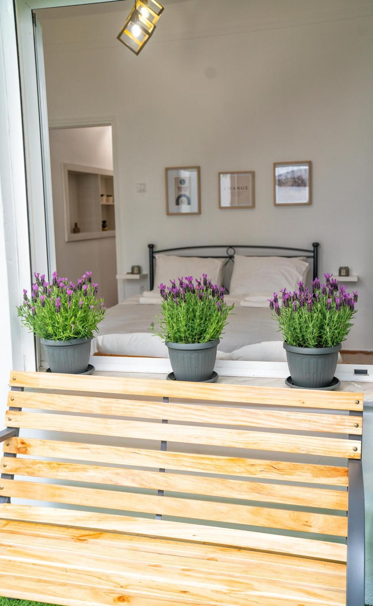 Lux Garden Apartment Near Acropolis In The Heart Of 雅典 外观 照片