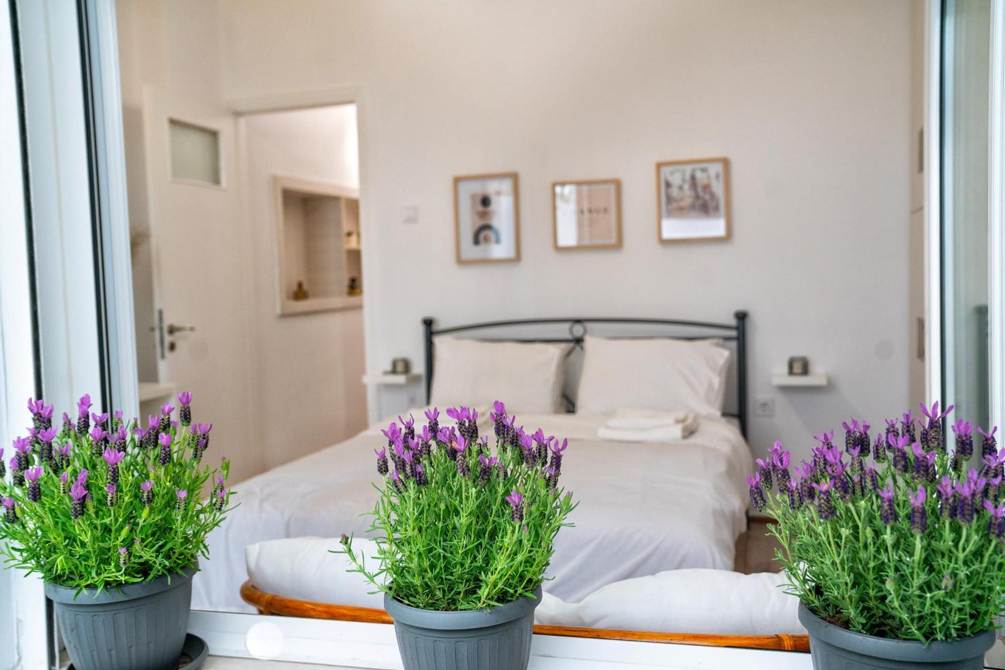 Lux Garden Apartment Near Acropolis In The Heart Of 雅典 外观 照片